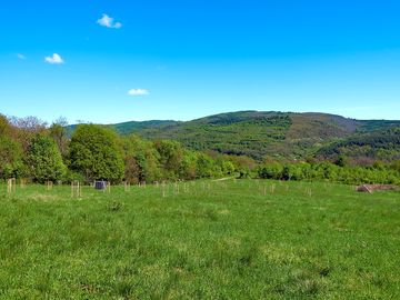 View across the orchard to forested hills