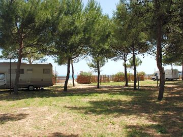 Some pitches have sea views