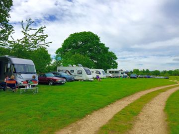 Sheltered pitches by the treeline