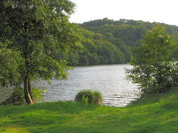 Walking on the banks of the river moselle