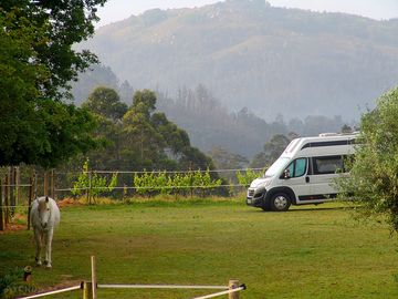 Pitch with mountain views