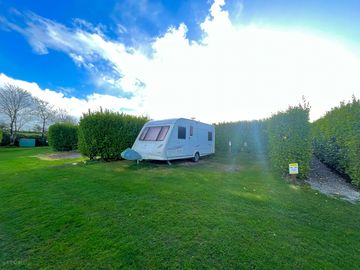Gold grass pitch