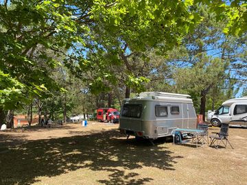 Camping area