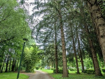 Pitches shaded by trees