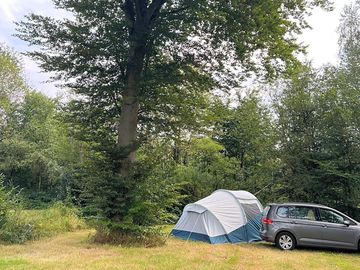 Camping on the meadow