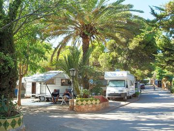 Large pitches under the shade of palm trees