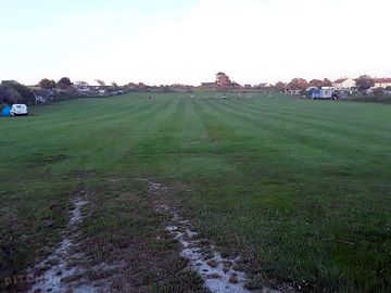 Grassy pitches