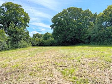 Grassy pitches