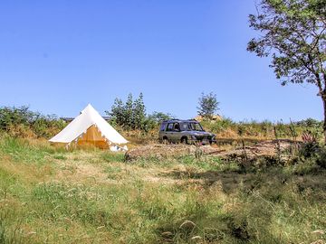 The grassy camping meadow. No marked pitches