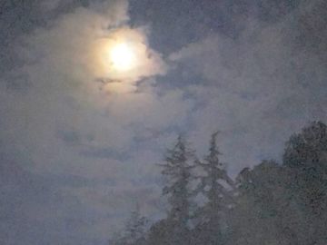 Moon at night