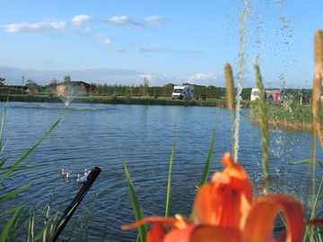 Summer view