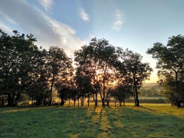 Sunrise on the site