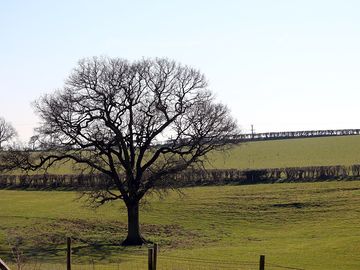 View of the camping field