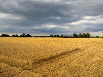 Rural view from the site