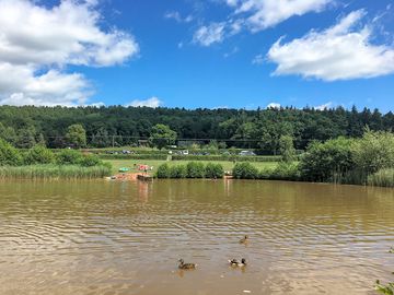 View of the lake and the site