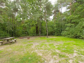Grass sites surrounded by trees