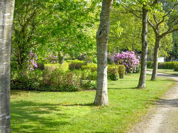 Landscaped camping pitches under the shade of trees