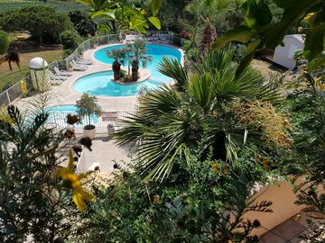 The pool