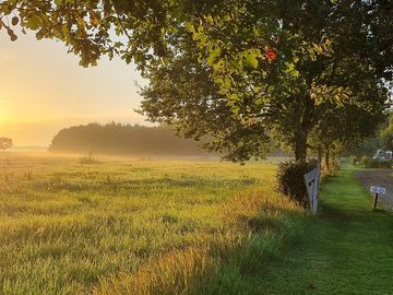 Uitzicht op het land