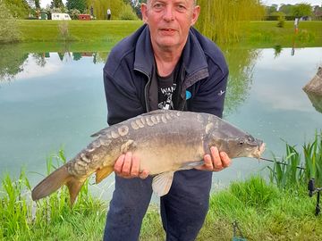 Nice looking fish in good condition