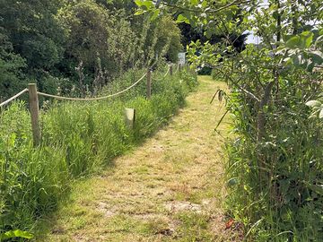 Path to toilet and shower block