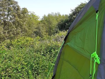 From behind our tent