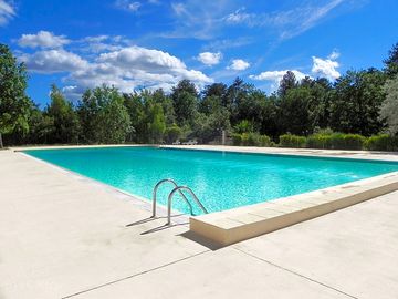 Swimming pool surrounded by trees