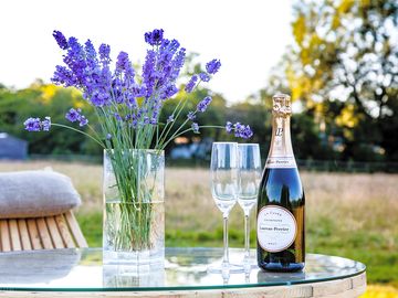 More bubbly anyone?