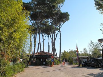 The site