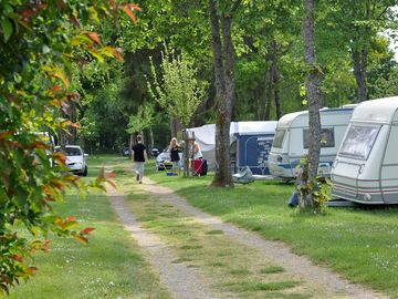 Camping field