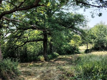 A shaded spot to pitch in