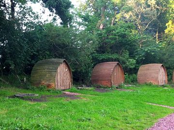 Pods in the meadow