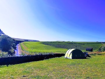 Spacious field for tents
