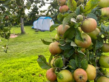 Camping