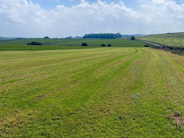 Campfield