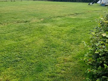 Level grass pitches