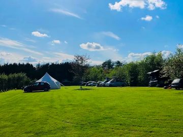 Spacious pitches overlooking the vineyard