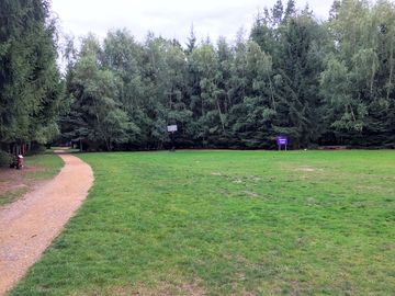 Games field
