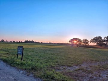 Sunset over the site