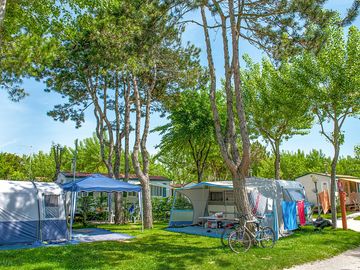 Pitches on site