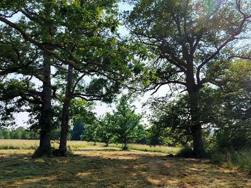 Sunny and shaded pitches