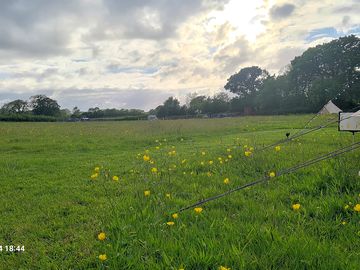 Site view
