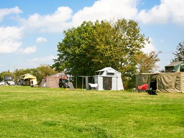 Grass pitches