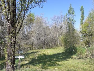 Motorhome pitches among the trees