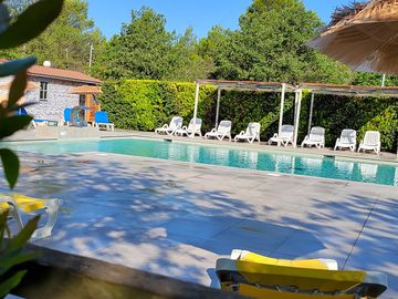 Pool and sun loungers