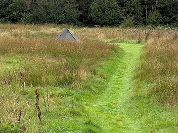 Meadow pitch