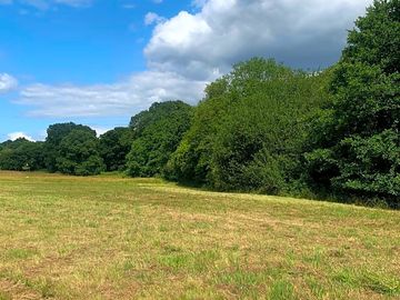 Plenty of open space and mature ancient woodland