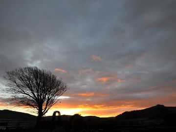 Dawn light