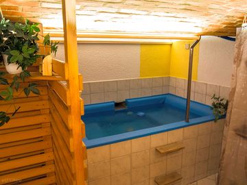 Sauna plunge pool
