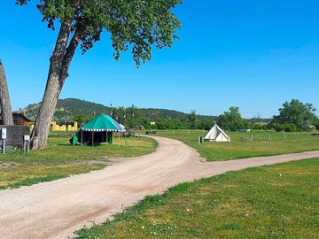 Wide open areas for camping
